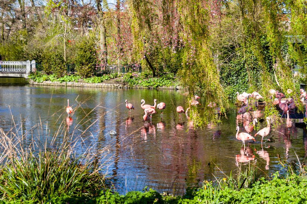 Hotel Park Plantage Amsterdam Bagian luar foto